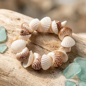 May include: A circular bracelet constructed from a series of small, natural seashells. The shells alternate between solid white, ribbed textures and smooth, rounded shells featuring brown spotted patterns, all strung together in a continuous loop.