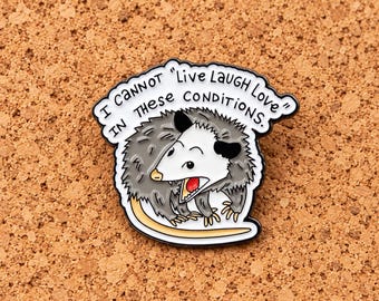 Anti Inspirational Hedgehog Enamel Pin, Funny Animal Brooch