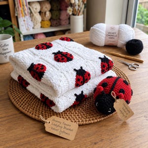 Virkad nyckelpiga med filtmönster i PDF-format, handledning för amigurumi-bagge, nybörjarvänlig insektsplysch, steg-för-steg-guide, digital nedladdning