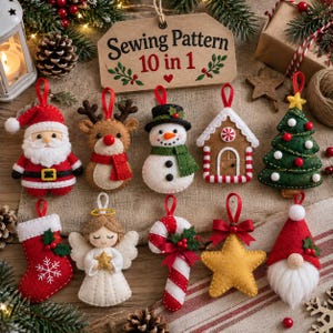 May include: A set of ten felt Christmas ornaments including a Santa Claus, reindeer, snowman, gingerbread house, Christmas tree, stocking, angel, candy cane, star, and gnome. Each ornament features a red hanging loop for display purposes.