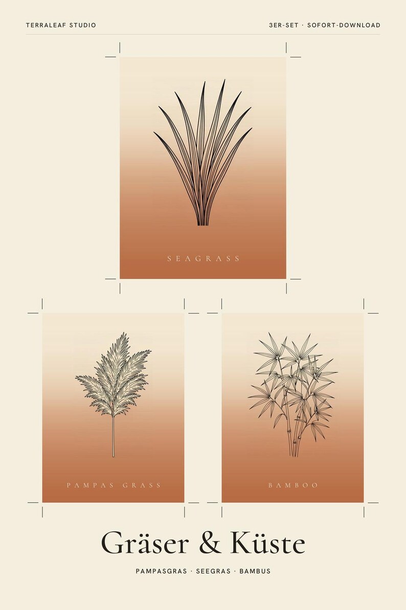 Ensemble de 3 affiches d'herbe à télécharger instantanément, style bohème, herbes de la pampa, jonc de mer, bambou, art linéaire japonais, terre cuite image 2