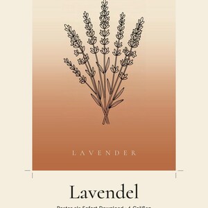 Lavendelafbeelding direct te downloaden, Japandi poster, botanische lijntekening, terracotta kunstprint, digitale muurdecoratie afbeelding 2