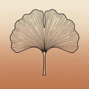 K&ouml;nnte beinhalten: Eine grafische Darstellung eines einzelnen Ginkgoblattes mit schwarzen Linien, die die Blattadern hervorheben, vor einem Farbverlaufshintergrund, der von hellem Beige oben zu einem warmen Terrakotta-Orange unten &uuml;bergeht, mit dem Text GINKGO.