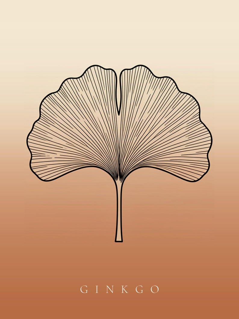 K&ouml;nnte beinhalten: Eine grafische Darstellung eines einzelnen Ginkgoblattes mit schwarzen Linien, die die Blattadern hervorheben, vor einem Farbverlaufshintergrund, der von hellem Beige oben zu einem warmen Terrakotta-Orange unten &uuml;bergeht, mit dem Text GINKGO.