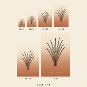 May include: Six posters featuring a black line art seagrass illustration on a gradient terracotta background. Sizes include 13x18, 20x25, 28x36, 30x45, 45x60, and 60x90 cm. Text includes Terraleaf Studio, Ein Motiv, sechs Gr&ouml;&szlig;en, and Seagrass.