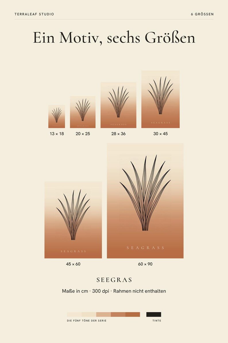 May include: Six posters featuring a black line art seagrass illustration on a gradient terracotta background. Sizes include 13x18, 20x25, 28x36, 30x45, 45x60, and 60x90 cm. Text includes Terraleaf Studio, Ein Motiv, sechs Gr&ouml;&szlig;en, and Seagrass.