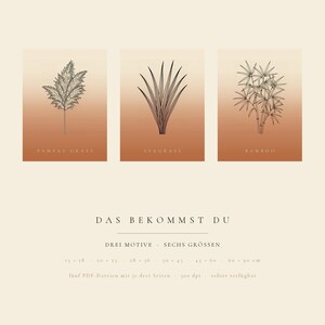 Ensemble de 3 affiches d'herbe à télécharger instantanément, style bohème, herbes de la pampa, jonc de mer, bambou, art linéaire japonais, terre cuite image 5