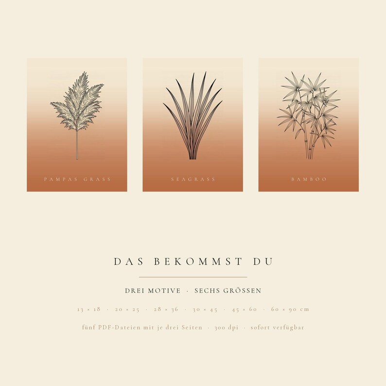 Ensemble de 3 affiches d'herbe à télécharger instantanément, style bohème, herbes de la pampa, jonc de mer, bambou, art linéaire japonais, terre cuite image 5