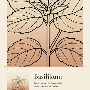 Basilikabild direktnedladdning, Japandi-affisch, botanisk linjekonst, terrakottakonsttryck, digital väggkonst bild 4