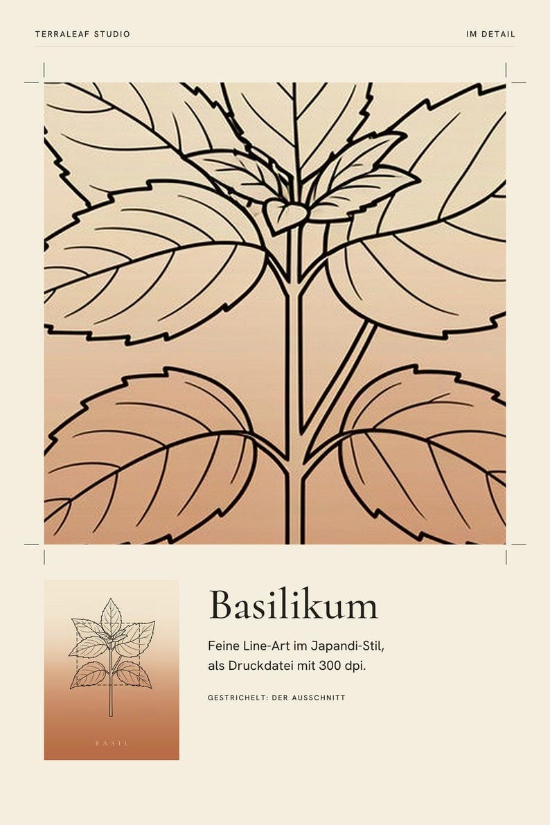 Basilikabild direktnedladdning, Japandi-affisch, botanisk linjekonst, terrakottakonsttryck, digital väggkonst bild 4