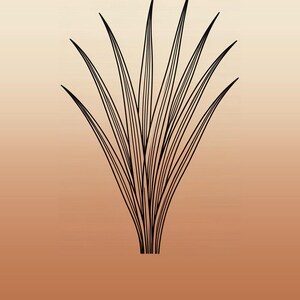 May include: A black line art illustration of a seagrass plant centred on a gradient background that transitions from light beige at the top to a warm terracotta orange at the bottom, with the word SEAGRASS printed in white at the base.