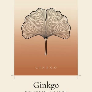 Ginkgo Poster – Minimalistische Line Art in Terrakotta, Japandi Wanddeko für Flur & Diele, Sofort Download Bild 2
