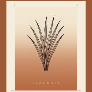 May include: A rectangular wall art print featuring a black line drawing of a seagrass plant centred on a gradient background transitioning from cream to terracotta. The text Seegras, AUS DEM 3ER-SET GR&Auml;SER & K&Uuml;STE, SEAGRASS, and 300 dpi 13x18 bis 60x90 cm zum Selbstdrucken is visible.