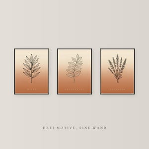 May include: Three framed rectangular wall art prints featuring black line drawings of an olive branch, eucalyptus leaves, and lavender sprigs. Each print has a vertical gradient background transitioning from cream to terracotta orange.