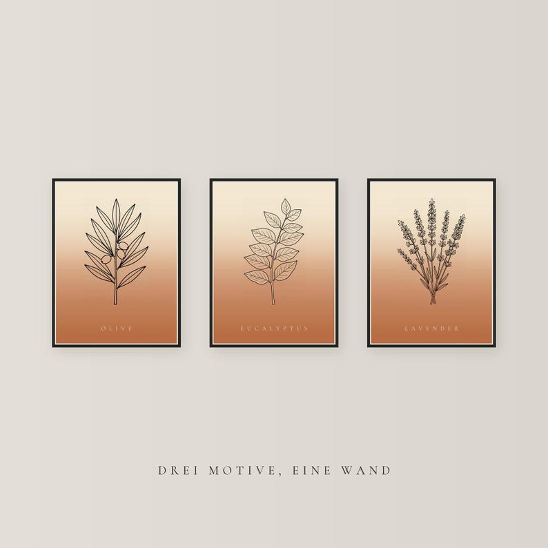 May include: Three framed rectangular wall art prints featuring black line drawings of an olive branch, eucalyptus leaves, and lavender sprigs. Each print has a vertical gradient background transitioning from cream to terracotta orange.