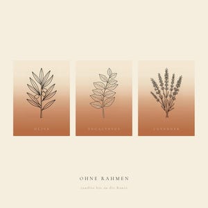 May include: Three rectangular wall art prints featuring black line drawings of an olive branch, eucalyptus leaves, and lavender sprigs. Each print has a gradient background transitioning from cream to terracotta. Text includes OLIVE, EUCALYPTUS, LAVENDER, OHNE RAHMEN, and randlos bis an die Kante.
