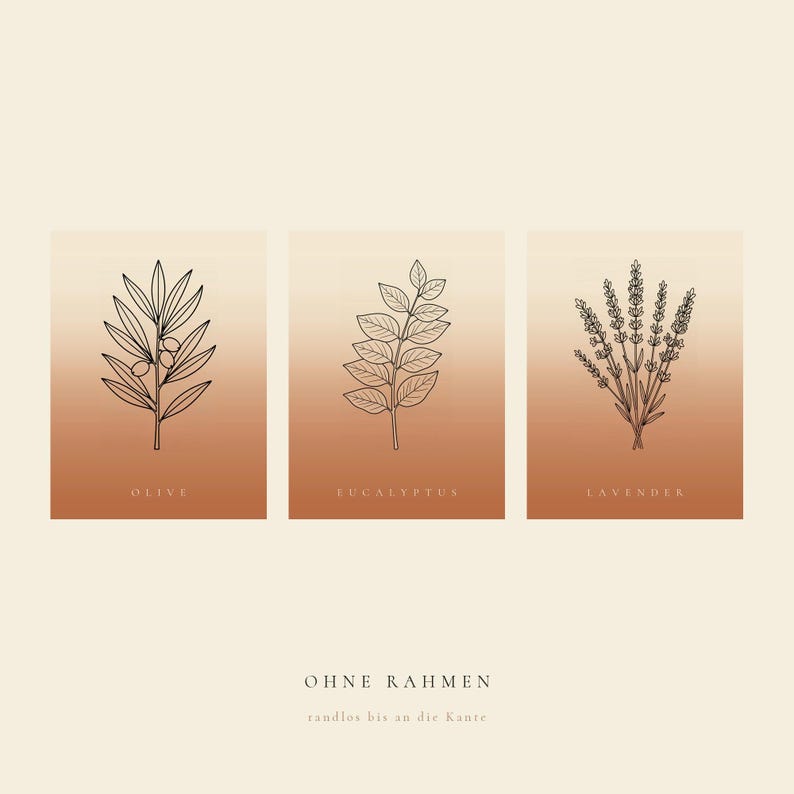 May include: Three rectangular wall art prints featuring black line drawings of an olive branch, eucalyptus leaves, and lavender sprigs. Each print has a gradient background transitioning from cream to terracotta. Text includes OLIVE, EUCALYPTUS, LAVENDER, OHNE RAHMEN, and randlos bis an die Kante.