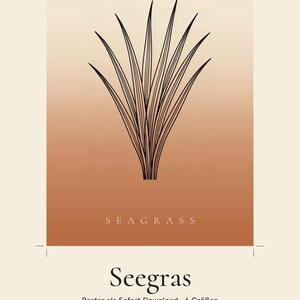 May include: A rectangular poster featuring a black line art illustration of seagrass centred on a gradient background transitioning from cream to terracotta. The text SEAGRASS appears below the illustration, with Terraleaf Studio and Japandi Line Art at the top.