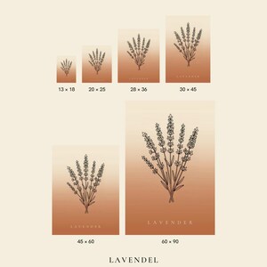 Lavendelafbeelding direct te downloaden, Japandi poster, botanische lijntekening, terracotta kunstprint, digitale muurdecoratie afbeelding 3