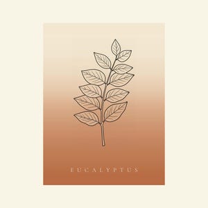 May include: A rectangular wall art print featuring a black line drawing of a eucalyptus branch with multiple leaves centered on a vertical gradient background that transitions from a light cream at the top to a warm terracotta orange at the bottom.