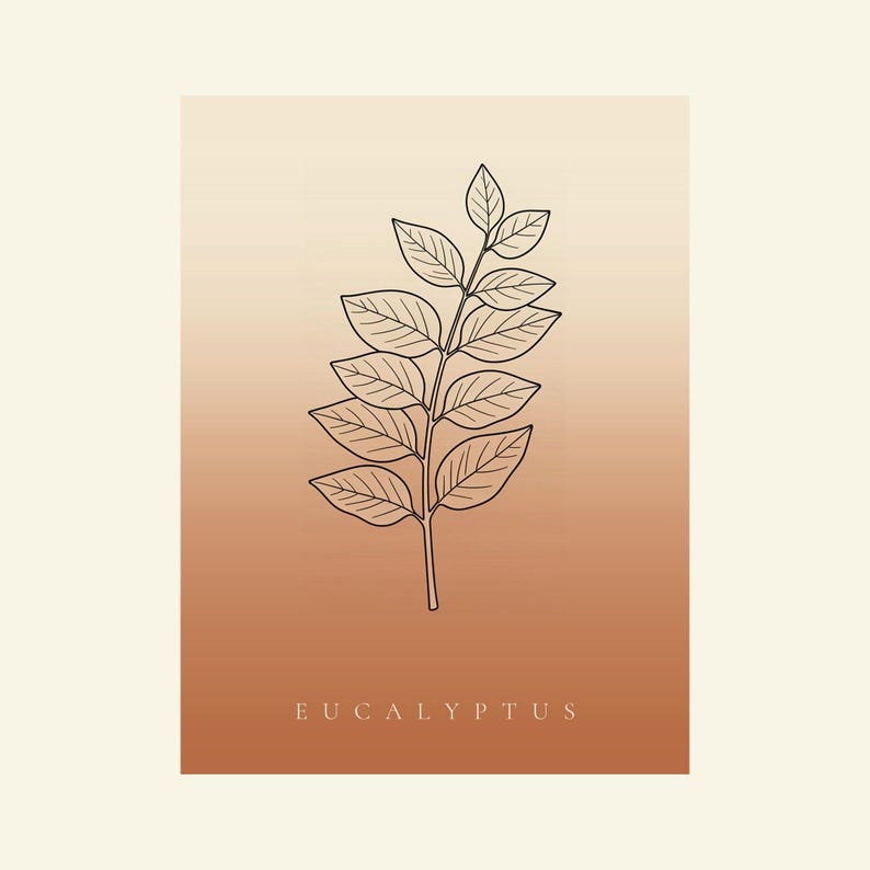 May include: A rectangular wall art print featuring a black line drawing of a eucalyptus branch with multiple leaves centered on a vertical gradient background that transitions from a light cream at the top to a warm terracotta orange at the bottom.