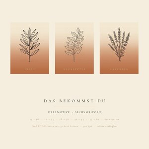 May include: Three rectangular prints featuring black line art of an olive branch, eucalyptus branch, and lavender sprig on a gradient terracotta background. Text includes "OLIVE", "EUCALYPTUS", "LAVENDER", and "DAS BEKOMMST DU" with size details.