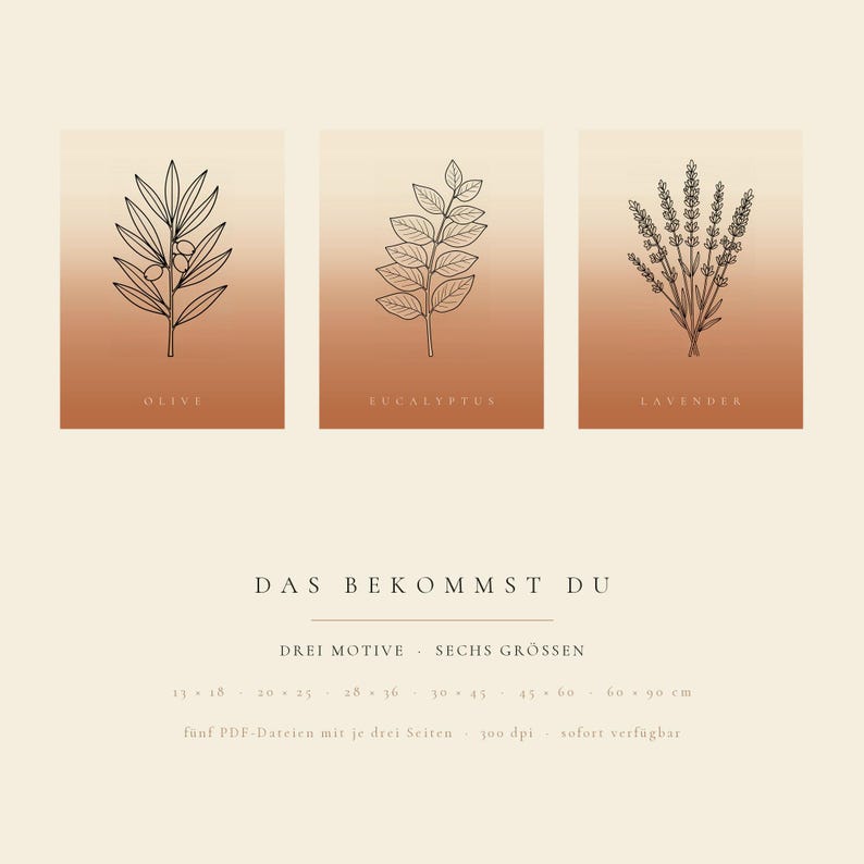 May include: Three rectangular prints featuring black line art of an olive branch, eucalyptus branch, and lavender sprig on a gradient terracotta background. Text includes "OLIVE", "EUCALYPTUS", "LAVENDER", and "DAS BEKOMMST DU" with size details.