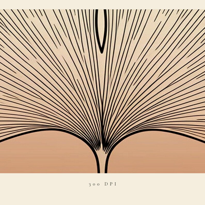 May include: A graphic illustration featuring a fan-shaped ginkgo leaf design with fine black lines radiating outward from a central stem against a soft peach and cream background. The text 300 DPI is printed in small black letters at the bottom center.