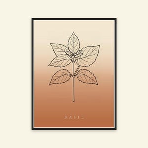 Basilikabild direktnedladdning, Japandi-affisch, botanisk linjekonst, terrakottakonsttryck, digital väggkonst bild 5