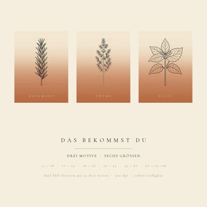 Op de afbeelding: Drie rechthoekige prints met zwarte lijntekeningen van rozemarijn, tijm en basilicum op een verloopachtergrond in terracottakleur. De tekst bevat de plantennamen en Duitse details: DAS BEKOMMST DU, DREI MOTIVE, SECHS GR&Ouml;SSEN, 13x18, 20x25, 28x36, 30x45, 45x60, 60x90 cm.
