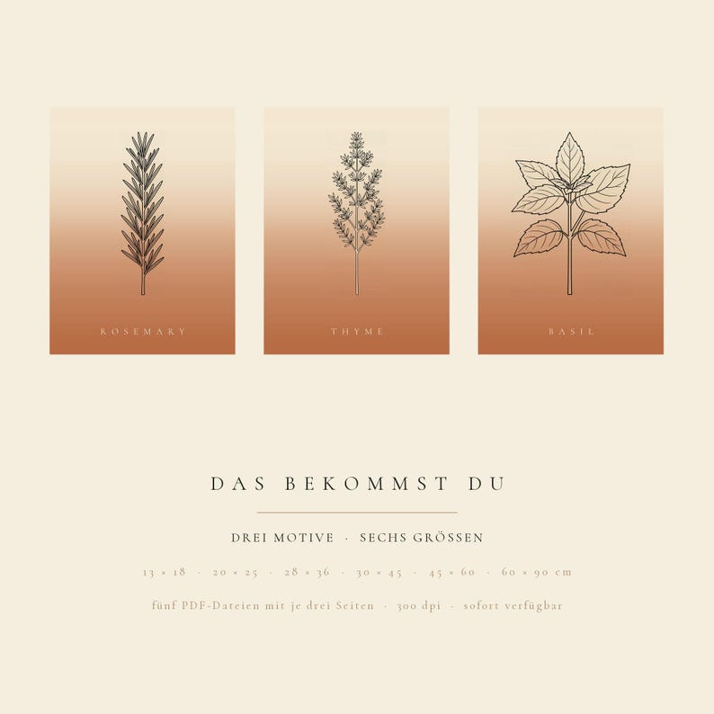 Op de afbeelding: Drie rechthoekige prints met zwarte lijntekeningen van rozemarijn, tijm en basilicum op een verloopachtergrond in terracottakleur. De tekst bevat de plantennamen en Duitse details: DAS BEKOMMST DU, DREI MOTIVE, SECHS GR&Ouml;SSEN, 13x18, 20x25, 28x36, 30x45, 45x60, 60x90 cm.