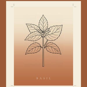 Basilikabild direktnedladdning, Japandi-affisch, botanisk linjekonst, terrakottakonsttryck, digital väggkonst bild 1