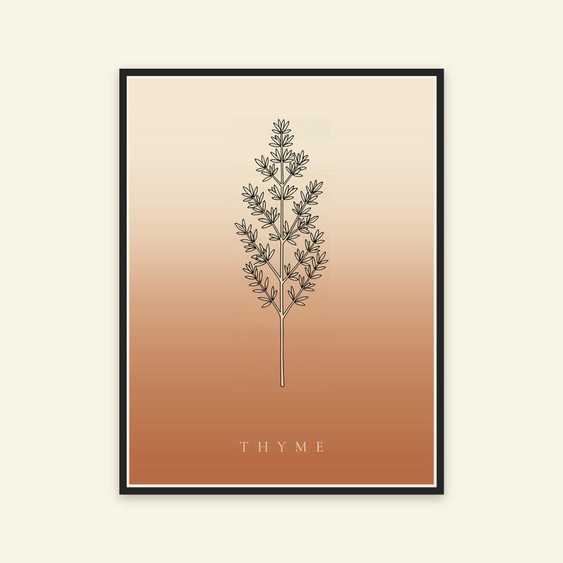 Op de afbeelding: Een ingelijste wandkunstprint met een zwarte lijntekening van een takje tijm, gecentreerd op een verticale gradi&euml;ntachtergrond die verloopt van lichtcr&egrave;me aan de bovenkant naar warm terracotta-oranje aan de onderkant, met het woord THYME eronder.