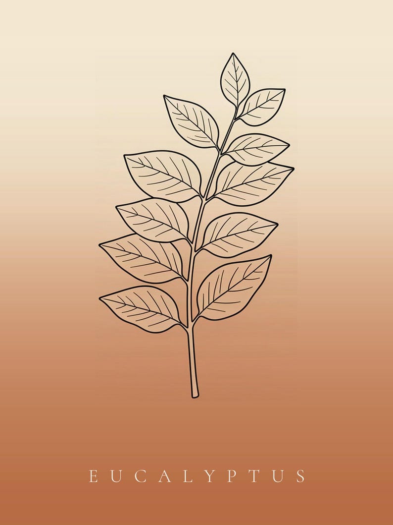 May include: A black line art illustration of a eucalyptus branch with multiple leaves centered on a vertical gradient background that transitions from a light cream color at the top to a warm terracotta orange at the bottom with the text EUCALYPTUS.