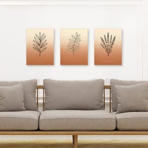 Mediterranean Poster Set of 3 Instant Download, Fragrant Branches Picture Set, Olive Branch Eucalyptus Lavender, Japandi Line Art Terracotta image 6