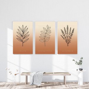 May include: A set of three vertical wall art prints featuring black line drawings of an olive branch, eucalyptus leaves, and lavender sprigs. Each print has a gradient background transitioning from light cream to warm terracotta orange.