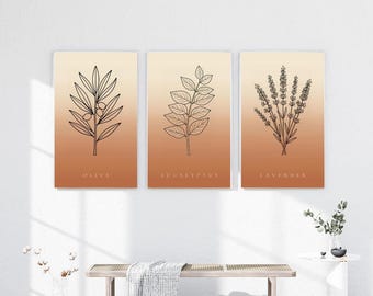 May include: A set of three vertical wall art prints featuring black line drawings of an olive branch, eucalyptus leaves, and lavender sprigs. Each print has a gradient background transitioning from light cream to warm terracotta orange.