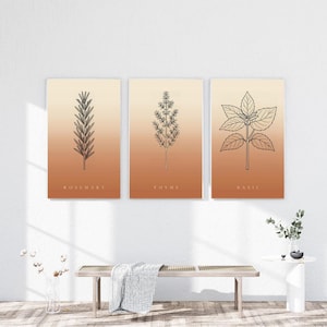 Op de afbeelding: Een set van drie rechthoekige wandposters met zwarte lijntekeningen van rozemarijn, tijm en basilicumplanten. Elke print heeft een verticale gradi&euml;ntachtergrond die verloopt van lichtcr&egrave;me aan de bovenkant naar warm terracotta-oranje onderaan.