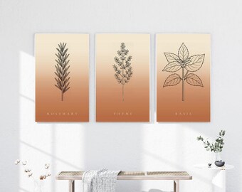 Op de afbeelding: Een set van drie rechthoekige wandposters met zwarte lijntekeningen van rozemarijn, tijm en basilicumplanten. Elke print heeft een verticale gradiëntachtergrond die verloopt van lichtcrème aan de bovenkant naar warm terracotta-oranje onderaan.