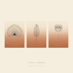 May include: Three rectangular wall art prints featuring black line drawings of a palm leaf, a banana leaf, and a protea flower against a gradient background transitioning from cream to terracotta. Text labels include PALM LEAF, BANANA LEAF, PROTEA, and OHNE RAHMEN.