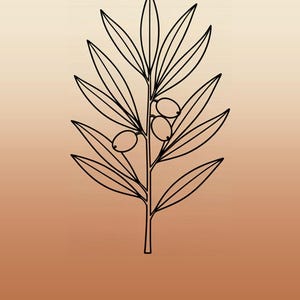 Może przedstawiać: Czarna ilustracja liniowa gałązki oliwnej z liśćmi i trzema małymi oliwkami, wyśrodkowana na pionowym tle z gradientem przechodzącym od jasnego kremu u g&oacute;ry do ciepłego terakotowego brązu u dołu, z napisem OLIVE.