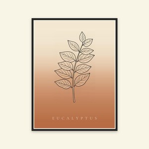 May include: A framed wall art print featuring a black line drawing of a eucalyptus branch centered on a vertical gradient background that transitions from a light cream at the top to a warm terracotta orange at the bottom with the text EUCALYPTUS.