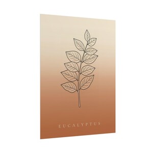 May include: A rectangular wall art print featuring a vertical gradient background transitioning from light cream at the top to a warm terracotta orange at the bottom. A black line art illustration of a eucalyptus branch is centered with the text EUCALYPTUS.