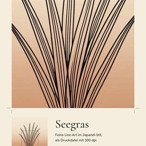 May include: A digital art print featuring black line-art of seagrass blades against a beige to light brown gradient background. The text reads TERRALEAF STUDIO, IM DETAIL, Seegras, Feine Line-Art im Japandi-Stil, als Druckdatei mit 300 dpi, GESTRICHELT: DER AUSSCHNITT, and SEAGRASS.
