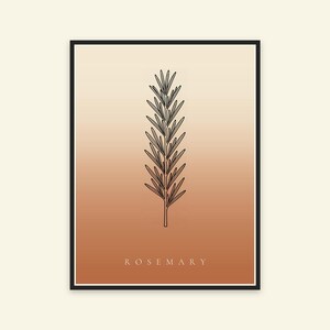 Op de afbeelding: Een ingelijste wandkunstprint met een zwarte lijntekening van een rozemarijntakje, gecentreerd op een verticale gradi&euml;ntachtergrond die verloopt van lichtcr&egrave;me aan de bovenkant naar warm terracotta-oranje onderaan met de tekst ROSEMARY.
