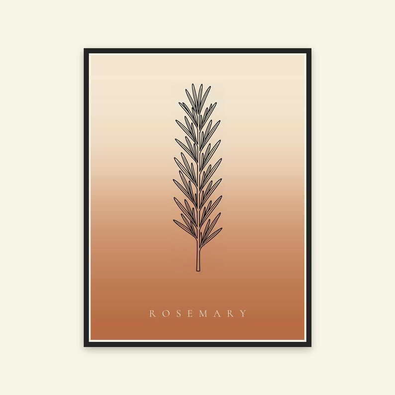Op de afbeelding: Een ingelijste wandkunstprint met een zwarte lijntekening van een rozemarijntakje, gecentreerd op een verticale gradi&euml;ntachtergrond die verloopt van lichtcr&egrave;me aan de bovenkant naar warm terracotta-oranje onderaan met de tekst ROSEMARY.