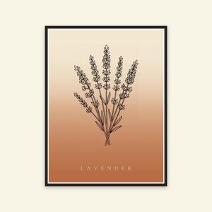 Lavendelafbeelding direct te downloaden, Japandi poster, botanische lijntekening, terracotta kunstprint, digitale muurdecoratie afbeelding 5
