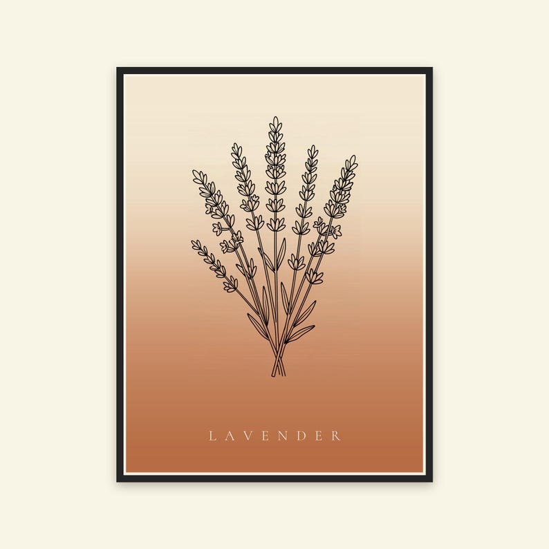 Lavendelafbeelding direct te downloaden, Japandi poster, botanische lijntekening, terracotta kunstprint, digitale muurdecoratie afbeelding 5