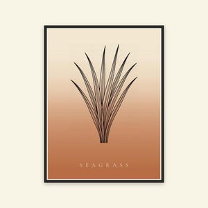 May include: A rectangular wall art print featuring a black line drawing of a seagrass plant centred on a vertical gradient background that transitions from a light cream at the top to a warm terracotta orange at the bottom with the text SEAGRASS.
