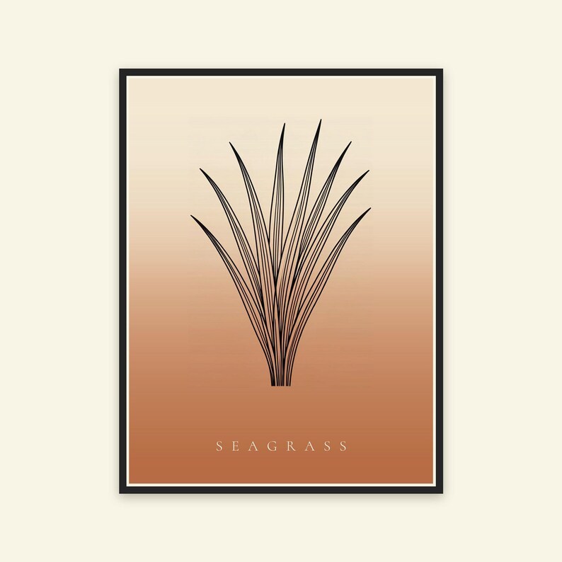 May include: A rectangular wall art print featuring a black line drawing of a seagrass plant centred on a vertical gradient background that transitions from a light cream at the top to a warm terracotta orange at the bottom with the text SEAGRASS.